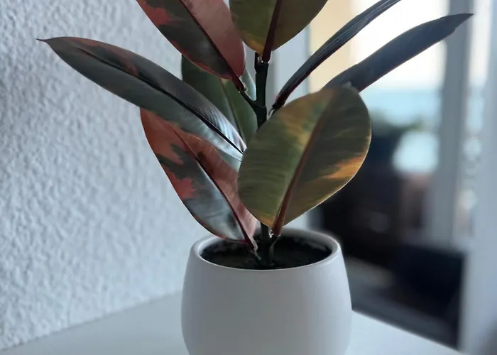 Rent4 Malaga La Torre De La Roca *