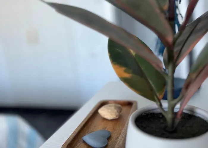 Apartman Rent4 Malaga La Torre De La Roca Torremolinos