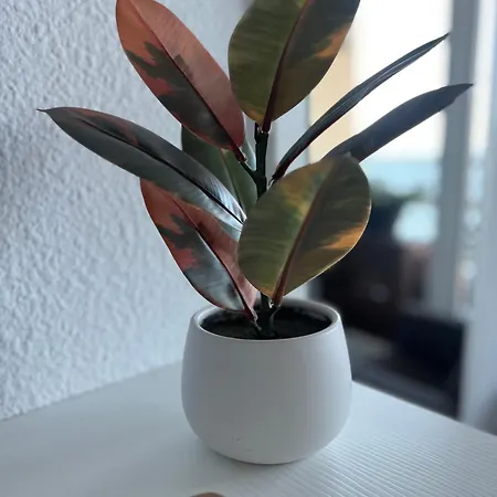 Rent4 Malaga La Torre De La Roca *